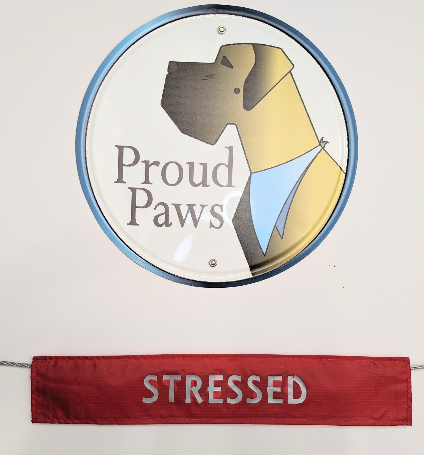 "STRESSED" Bright Red Dog lead sleeve / cover for dog leash - canine training - puppy socialising - stressed stressing stressy dog