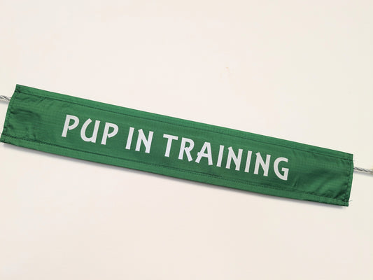 "Pup in training"  Dog lead sleeve / cover for dog leash - canine training - puppy socialising - reactive dog - support dog Emerald Green