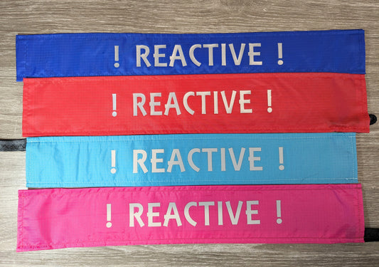 306 "REACTIVE" lead sleeve / cover for dog leash - canine training - puppy socialising - Reactive Dog -various colours available - see pictures and description.