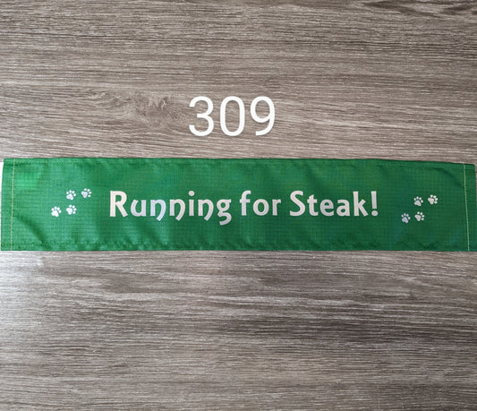 309 "RUNNING FOR STEAK" Emerald Green Lead Sleeve. Humorous slogan for Cani-cross. Cover for dog leash. Humourous!