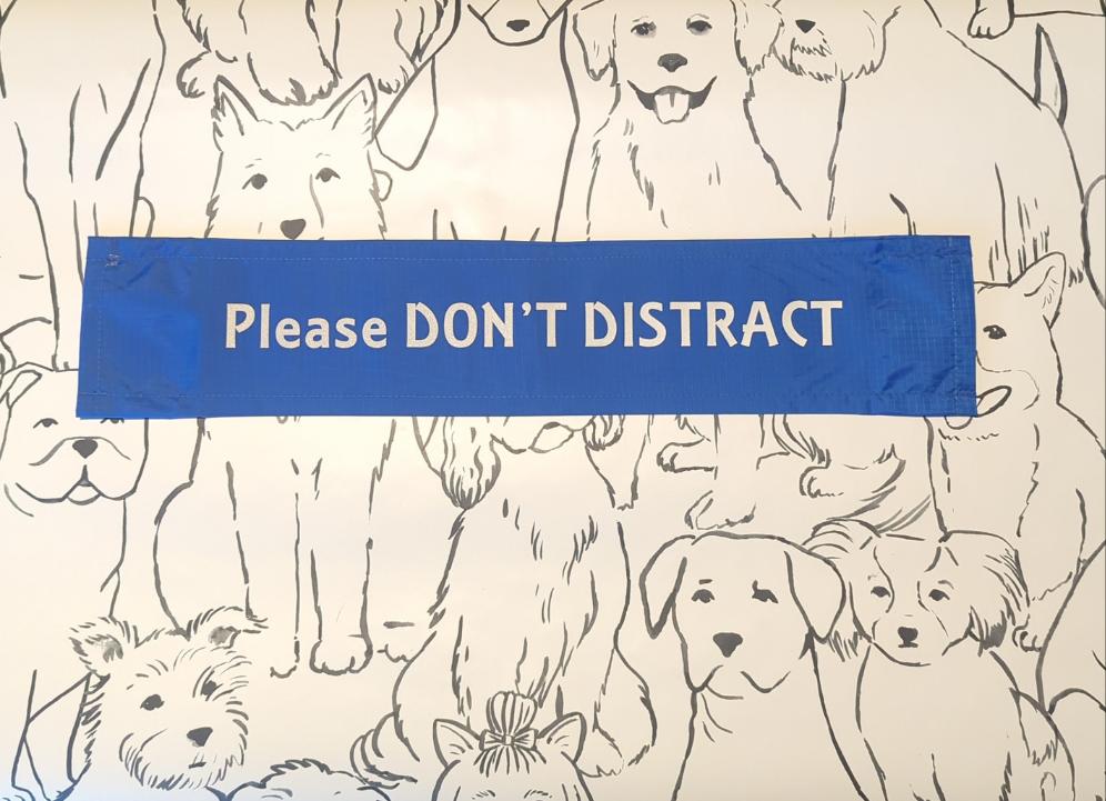 "Please don't distract" royal blue Dog lead sleeve / cover for dog leash - canine training - puppy socialising - reactive dog - support dog