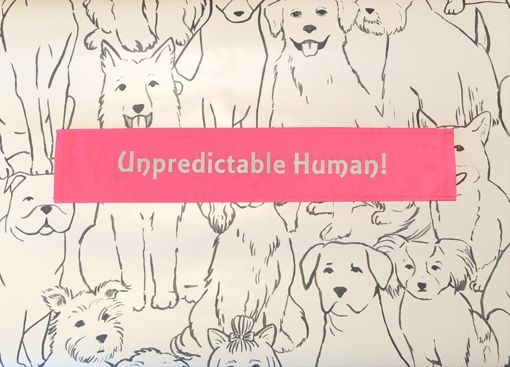 "Unpredictable human" neon pink Dog lead sleeve / cover for dog leash - canine training - puppy socialising - reactive dog - support dog