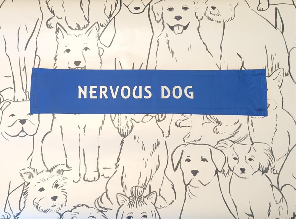 "Nervous dog" Dog lead sleeve / cover for dog leash - canine training - socialising - safety aid - hi vis - various colours - see photos and description
