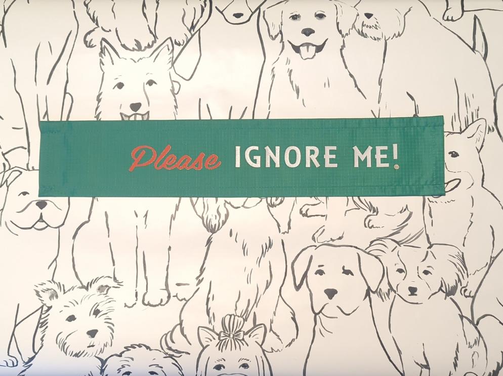 "Please ignore me" green Dog lead sleeve / cover for dog leash - canine training - puppy socialising - reactive dog - support dog